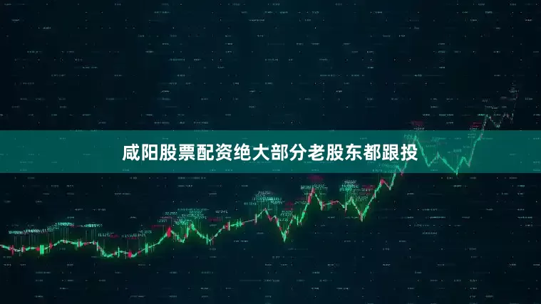 咸阳股票配资绝大部分老股东都跟投