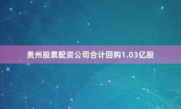 贵州股票配资公司合计回购1.03亿股