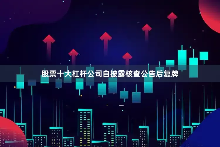 股票十大杠杆公司自披露核查公告后复牌