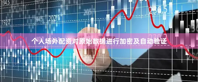 个人场外配资对原始数据进行加密及自动验证